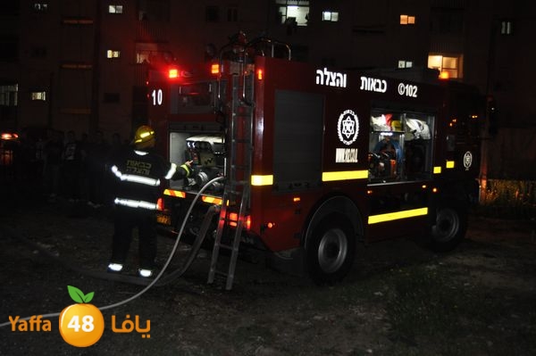 ramlainfejar315 (16).JPG